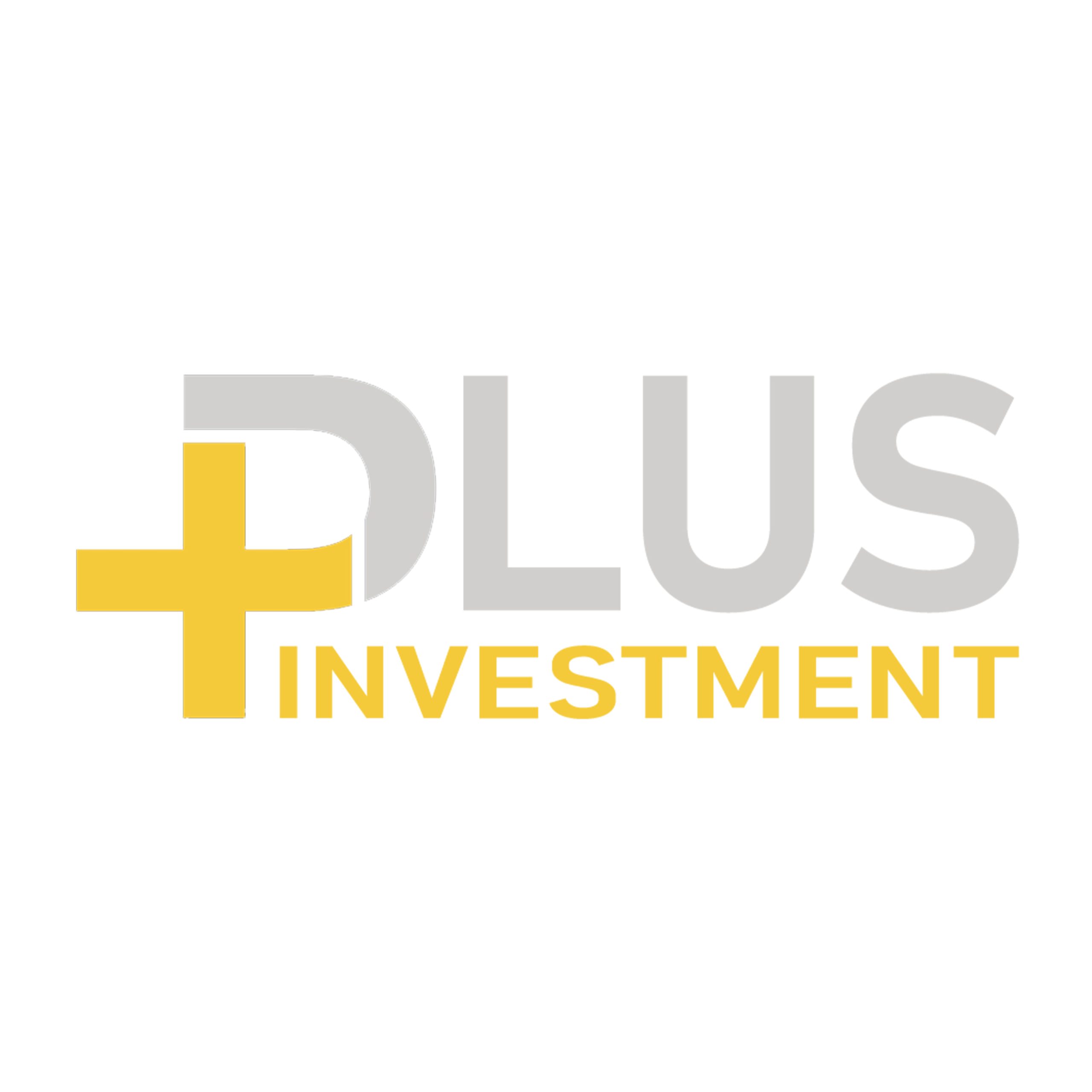 Plus Investment